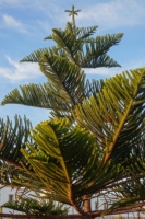 mogador_26