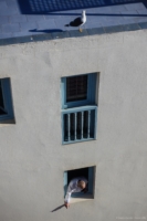 mogador_55