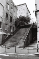 rouge_27