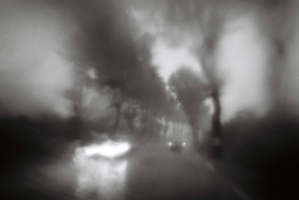 rouge_41